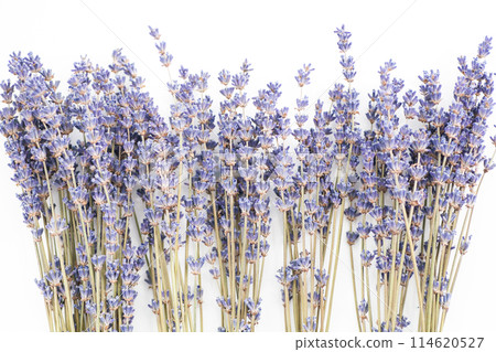 Dried lavender flowers 114620527