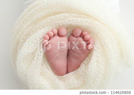 The tiny foot of a newborn baby. Soft feet of a new born in a wool white blanket. Close up of toes, heels and feet of a newborn. Macro photography. The tiny foot of a newborn baby. Soft feet of a new born in a wool white blanket. Close up of toes, heels and feet of a newborn. Macro photography. 114620808