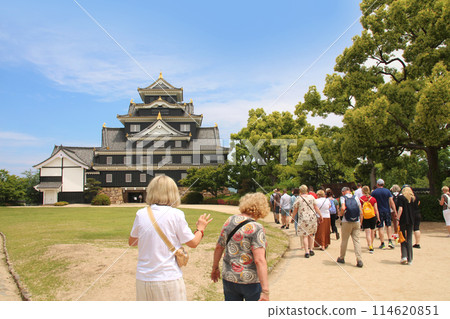 岡山城擠滿了外國遊客 岡山城擠滿了外國遊客 114620851