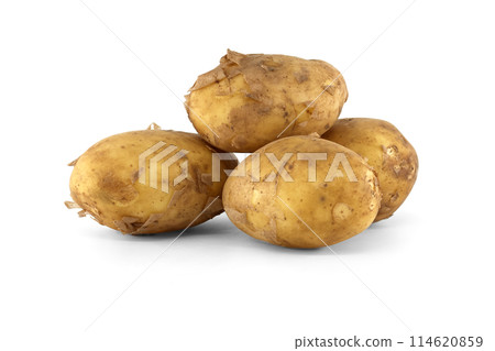 Recent harvest early season potatoes isolated on white Recent harvest early season potatoes isolated on white 114620859