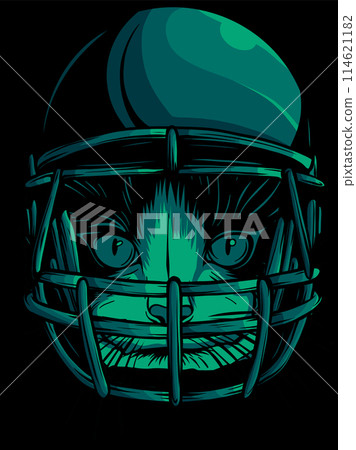 cat with helmet american footbal player on black background 114621182