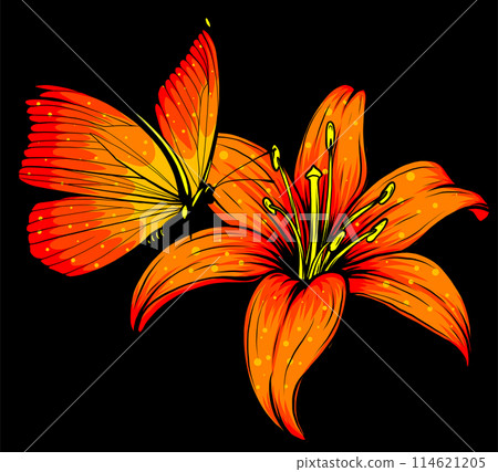 butterflly and flower on black background vector illustration design art 114621205