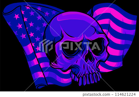 vector illustration of American flag with skull on black background 114621224