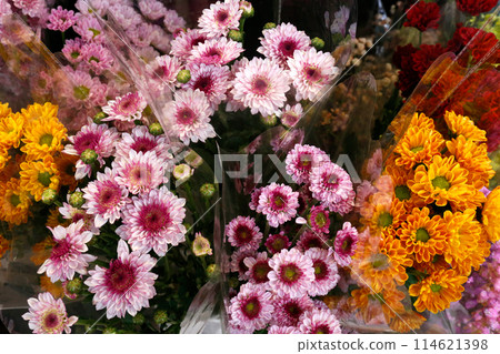 Colorful flowers lined up at a flower shop 114621398