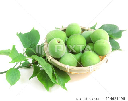 新鮮採摘的藍李子和李子葉 114621496