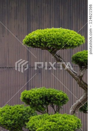 城市各種建築物牆壁上的圖案 城市各種建築物牆壁上的圖案 114621566