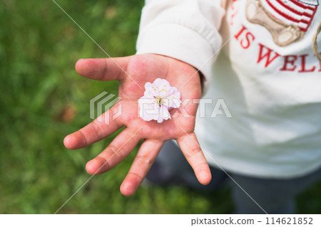 小孩子伸出花瓣 114621852