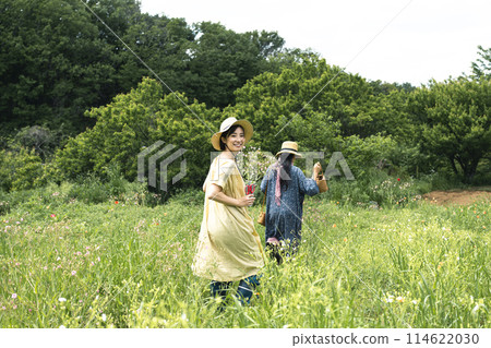 採摘有機花卉的女人 114622030
