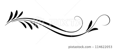 Floral ornament isolated on white background 114622053