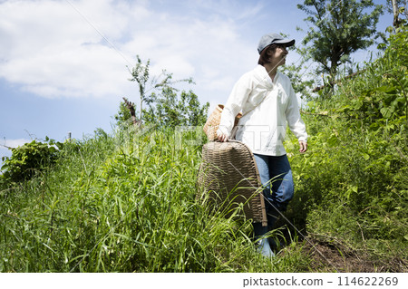 Cute woman enjoying country life 114622269
