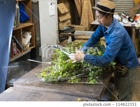 A flower grower preparing plants for shipping A flower grower preparing plants for shipping 114622351