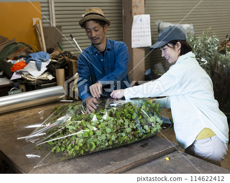 花卉生產商運送植物 114622412
