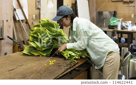 運送植物的婦女 114622441