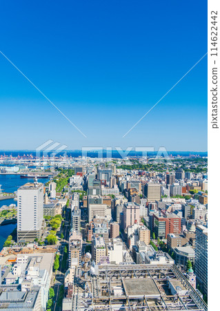 (Kanagawa Prefecture) Yokohama Minato Mirai and Yamashitacho area (Kanagawa Prefecture) Yokohama Minato Mirai and Yamashitacho area 114622442