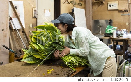 A woman shipping plants 114622443