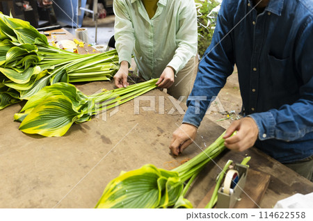 花卉生產商運送植物 114622558