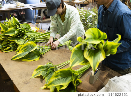 花卉生產商運送植物 114622561