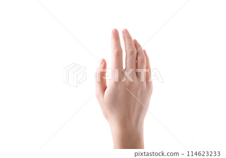 Female hand gesture isolated on a white background 114623233