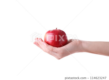 Female hand holding red apple isolated on white background 114623247
