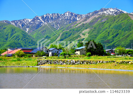 從白馬站附近眺望白馬五龍滑雪場（長野縣白馬村）[2024 年 5 月] 114623339