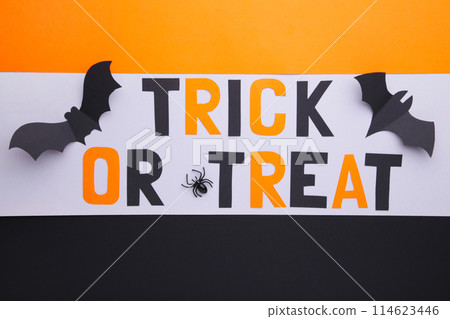 Inscription halloween with paper bats with spiders on colorful background. Halloween concept 114623446