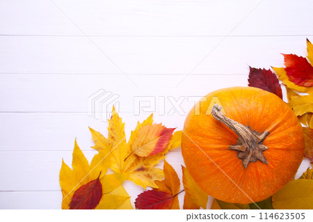 Orange pumpkin with leaves on a white background. Orange pumpkin with leaves on a white background. 114623505