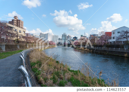 春天的田川 114623557
