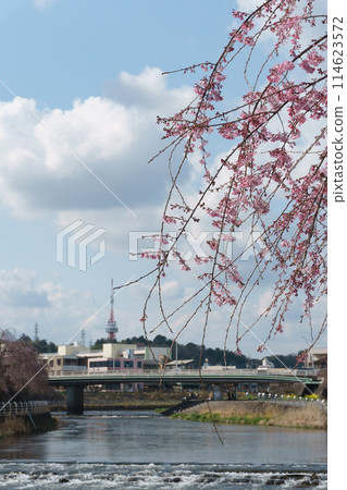 春天的田川 春天的田川 114623572