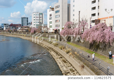 春天的田川 114623575