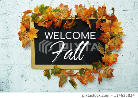 Welcome Fall text message on chalkboard with maple leaf decoration Welcome Fall text message on chalkboard with maple leaf decoration 114623824