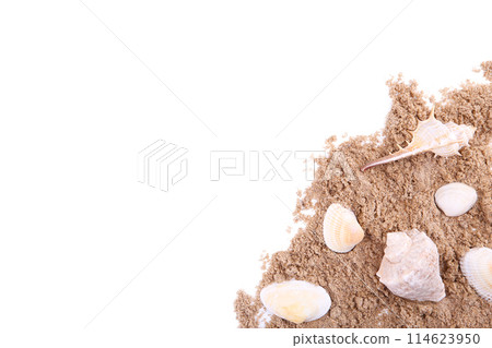 Seashells on a pile of sand isolated over white Seashells on a pile of sand isolated over white 114623950