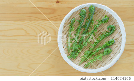Kogomi | Spring wild vegetable image 114624166