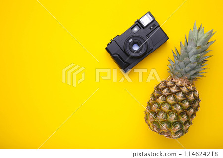 Ripe pineapple with camera on a yellow background 114624218
