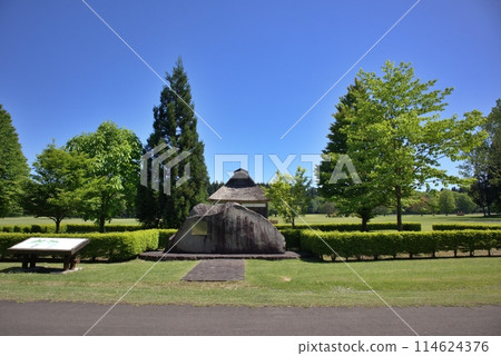 Nordic Forest Park: Trees planted by His Majesty 114624376