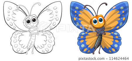 Colorful Butterfly Vector Illustration 114624464