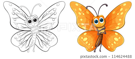 Colorful Butterfly Vector Illustration Colorful Butterfly Vector Illustration 114624488