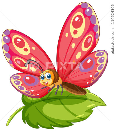 Colorful Butterfly on Green Leaf Colorful Butterfly on Green Leaf 114624506