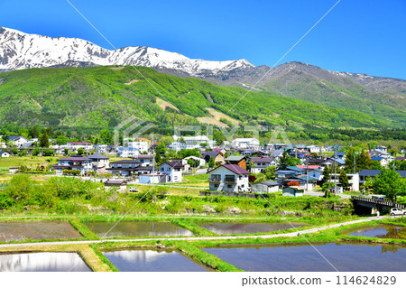 白馬岩岳避暑山莊週邊/眺望白馬乘鞍山（長野縣白馬村） [2024.5] 114624829