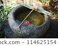Water basin, ladle and camellia 114625154