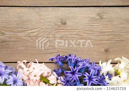 Bunch of hyacinths flower on a grey wooden background. Bunch of hyacinths flower on a grey wooden background. 114625729