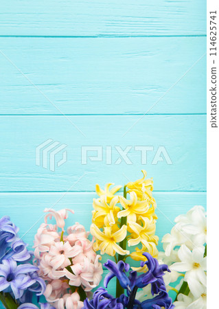 Bunch of hyacinths flower on a blue background. Bunch of hyacinths flower on a blue background. 114625741