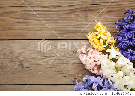 Bunch of hyacinths flower on a grey wooden background. Bunch of hyacinths flower on a grey wooden background. 114625742