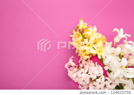 Bunch of hyacinths flower on a pink background. Bunch of hyacinths flower on a pink background. 114625756