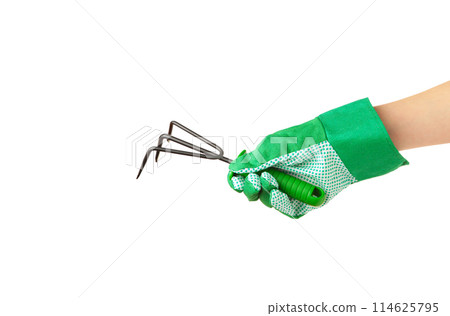 Women holding green garden rake with isolated on white background 114625795