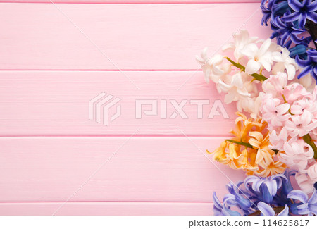 Bunch of hyacinths flower on a pink background. 114625817
