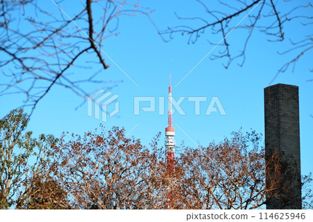 Tokyo cityscape: Azabu-Juban Tokyo cityscape: Azabu-Juban 114625946