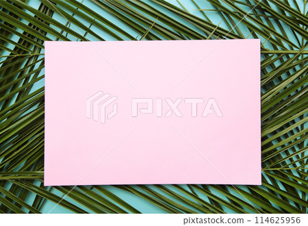 Green palm leaves background with copy space. Top view 114625956