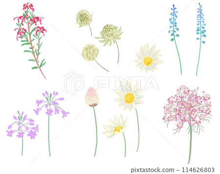 Various watercolor flowers Various watercolor flowers 114626803