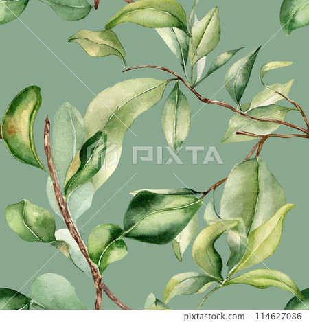 Leaves on branch fruit tree watercolor seamless pattern isolated on green. Foliage of citrus tree hand drawn. Bergamot , grapefruit plants in botanical sketch style. Assorted green leaf for print 114627086