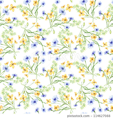 Yellow, blue meadow flowers in watercolor seamless pattern isolated on white. Celandine and cornflower in sketch. Medicinal plant, useful floral print hand drawn. Design for home textile, package 114627088